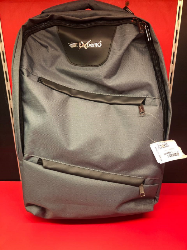 Experto 6603  Laptop Backpack