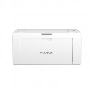 Pantum P2509 Mono laser single function printer