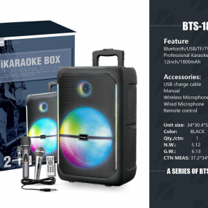Brodu BTS-1808 12″inch Wireless speaker