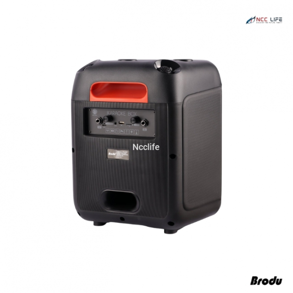 ⁦Brodu BTS-2107 8″inch Wireless speaker⁩ - الصورة ⁦4⁩