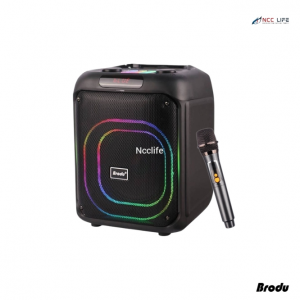 Brodu BTS-2107 8″inch Wireless speaker