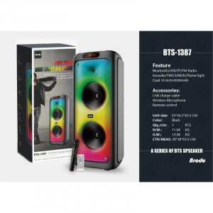 Brodu BTS- 1387 10″inch Wireless speaker