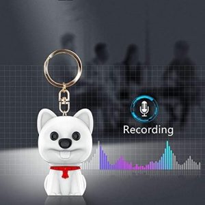 F12 Audio Voice Recorder 16GB