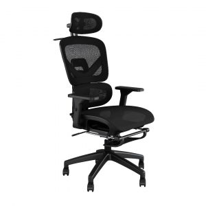 Chair YT- 868 with Foot Rest