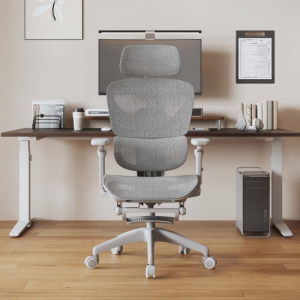 Chair YT- 868 with Foot Rest