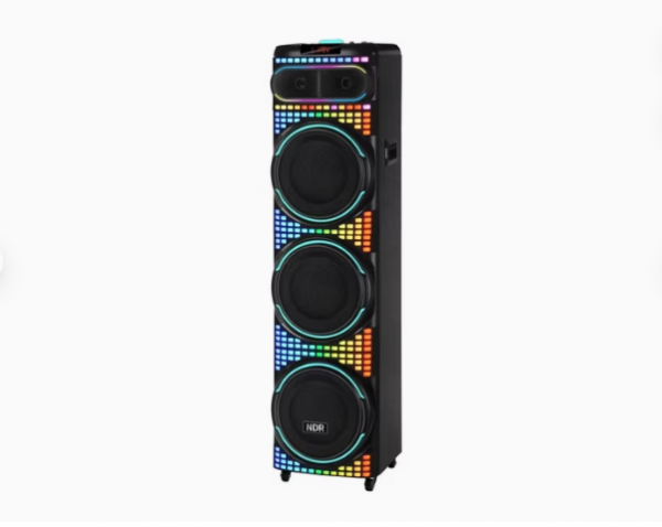 ⁦Ndr-3260 High Power 12 "*3 Outdoor Speaker with Battery⁩ - الصورة ⁦2⁩