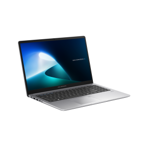ASUS ExpertBook P1 P1503CVA- I58512D
