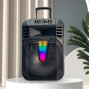 GREATNICE Kts-2071 15″inch Wireless speaker