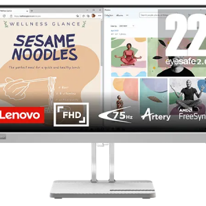 Lenovo L22e-40 22″ Monitor
