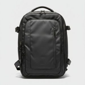 PS-672 laptop Backpac
