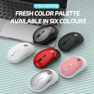 R8 1620 ERGONOMIC COLORFLIL MOUSE