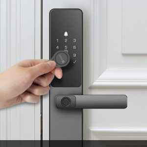 EZVIZ DL05 Smart Fingerprint Lock passcode, proximity card, mechanical key