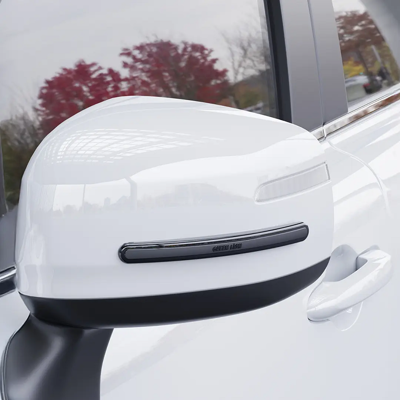 Green Lion Car Door Guard 4-Strip Pack - الصورة 2