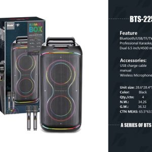 BRODU BTS-2255 6.5″inch Wireless Speaker