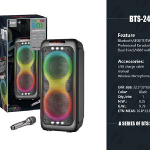 BRODU BTS-2463 8″inch Wireless Speaker