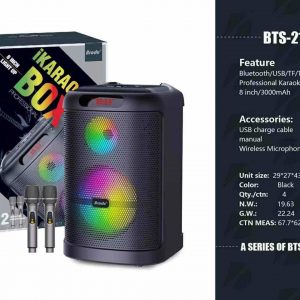 BRODU BTS-2101 8″inch Wireless Speaker