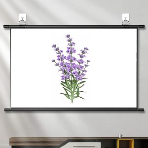 شاشة اسقاط جدارية 72بوصة SLJM72