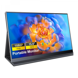 P156A06 Portable Monitor 15.6 Inch