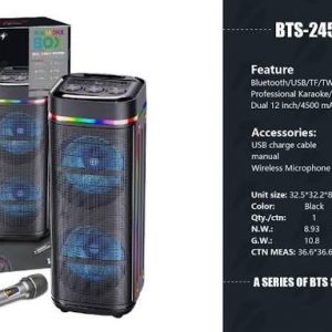 BRODU BTS-2459 12″inch Wireless Speaker