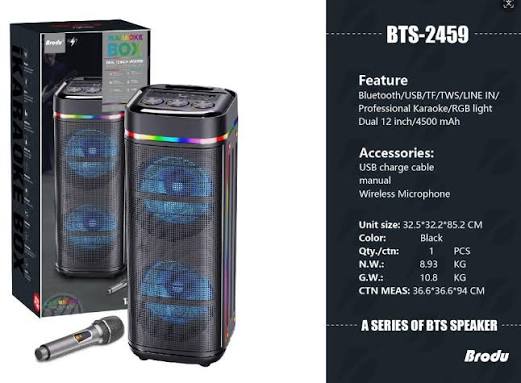 BRODU BTS-2459 12″inch Wireless Speaker