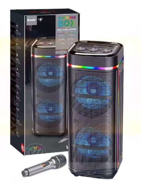 BRODU BTS-2459 12″inch Wireless Speaker - الصورة 2