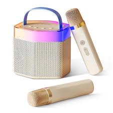 Philips TAS2519 Karaoke Wireless Bluetooth Speaker