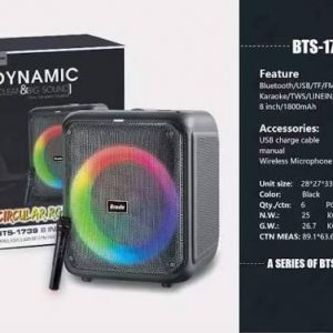 BRODU KTS-1739 8inch Wireless Speaker