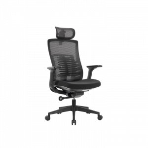 Fantech OC1 Ergonomic Office Chair – Black
